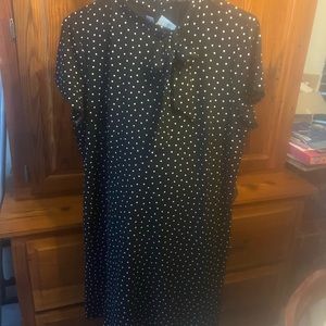 Ann Taylor The Midi Flare Dress in Double Knit